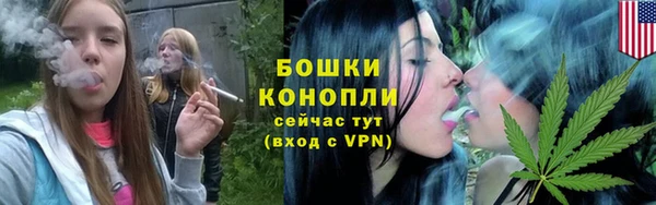 ПСИЛОЦИБИНОВЫЕ ГРИБЫ Горнозаводск
