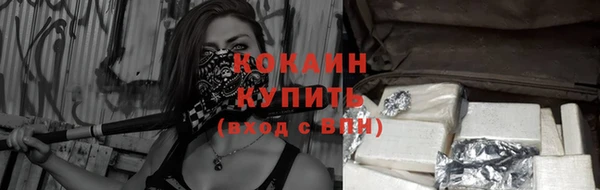 ПСИЛОЦИБИНОВЫЕ ГРИБЫ Горнозаводск