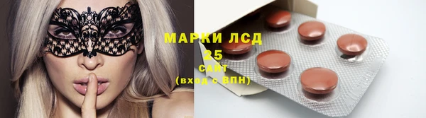 ПСИЛОЦИБИНОВЫЕ ГРИБЫ Горнозаводск