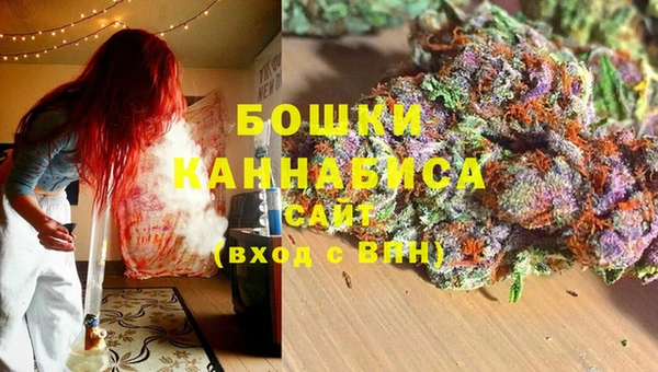 ПСИЛОЦИБИНОВЫЕ ГРИБЫ Горнозаводск